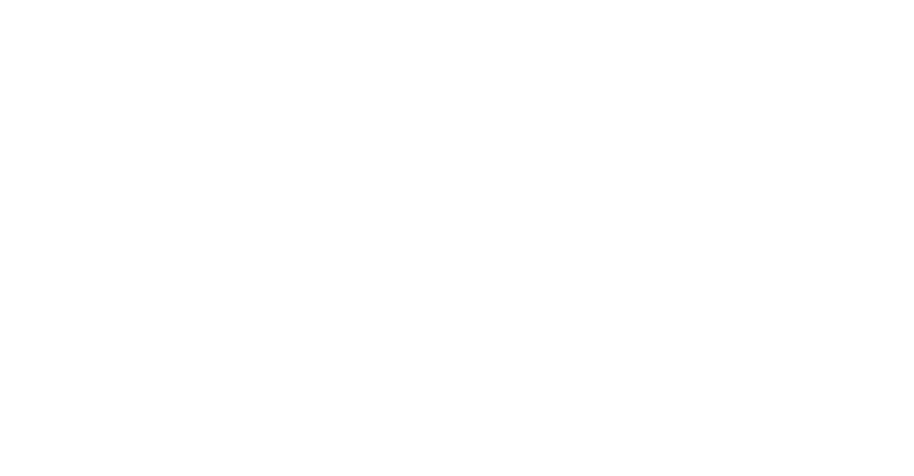 UFBDUAL™